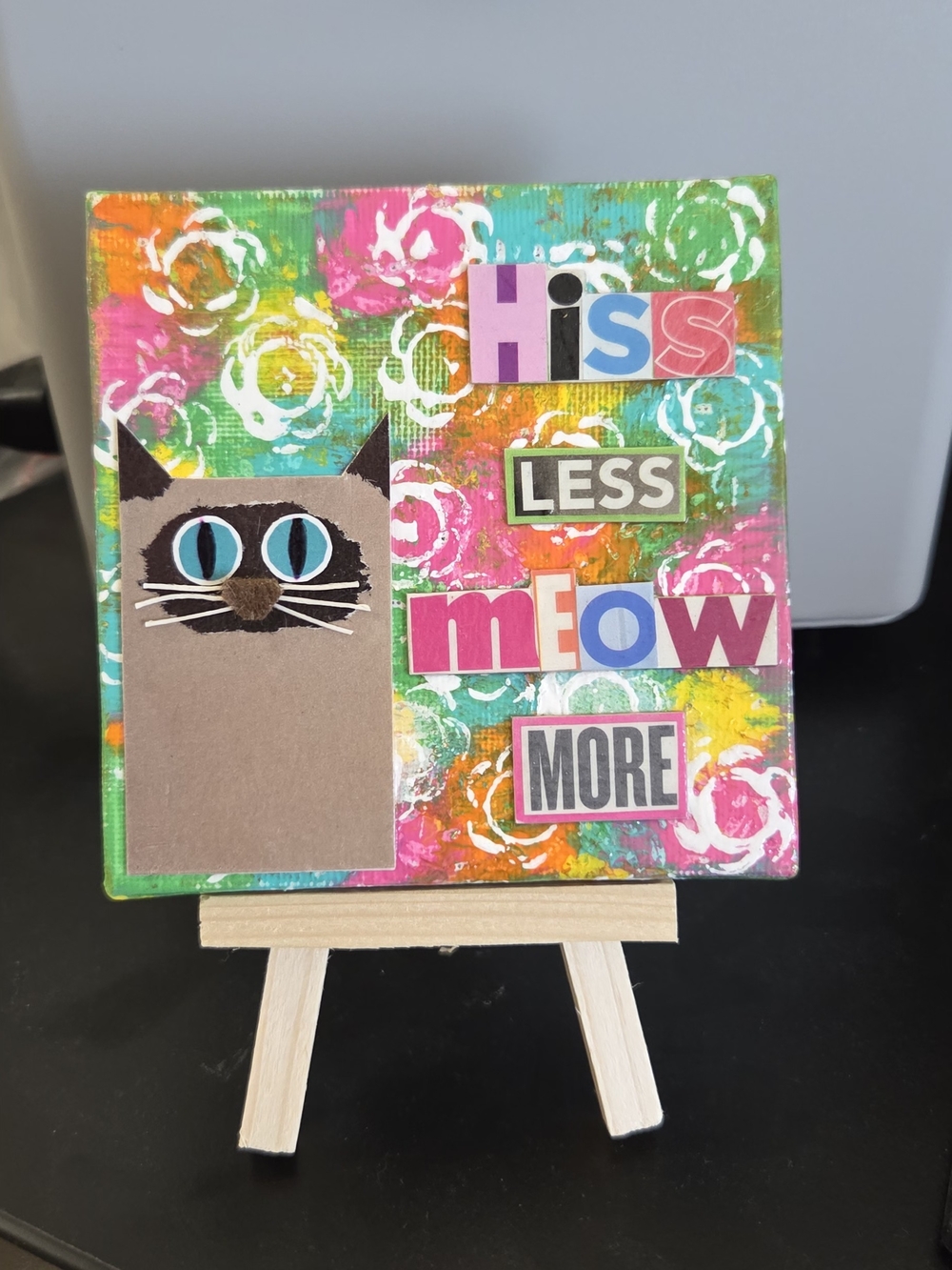 Homemade Colorful Cat Art Canvas Hiss Less